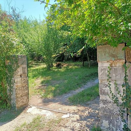 La Colline Aux Oiseaux, La Tranquillite Des Bois Villa Molieres-sur-Ceze Exterior foto