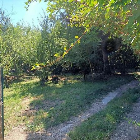 La Colline Aux Oiseaux, La Tranquillite Des Bois Villa Molieres-sur-Ceze Exterior foto