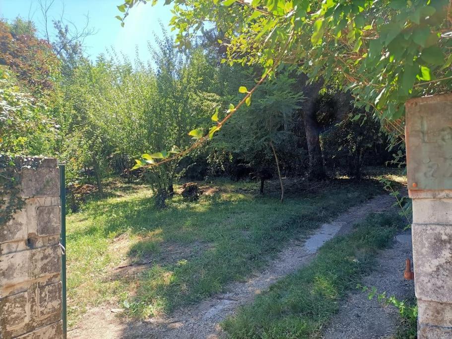 La Colline Aux Oiseaux, La Tranquillite Des Bois Villa Molieres-sur-Ceze Exterior foto