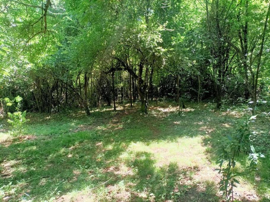 La Colline Aux Oiseaux, La Tranquillite Des Bois Villa Molieres-sur-Ceze Exterior foto